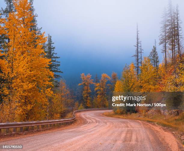 empty road amidst trees during autumn,helena,montana,united states,usa - helena montana 個照片及圖片檔