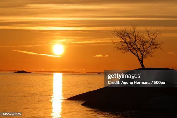 silhouette of tree by sea against sky during sunset,indonesia - hermana ストックフォトと画像