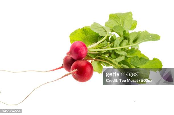 close-up of radishes against white background,arad,romania - radish stock pictures, royalty-free photos & images