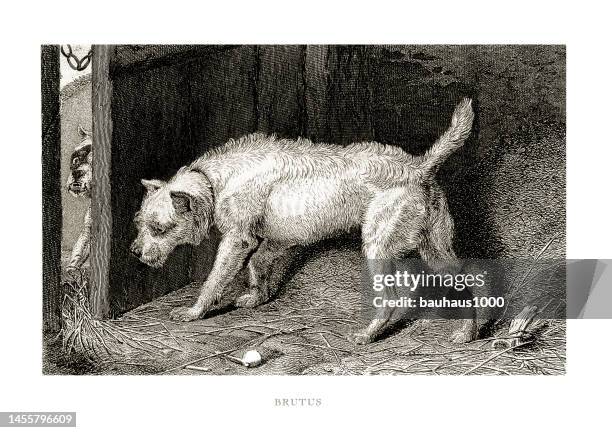 terrier, antique engraving, terrier guarding door from another dog engraved illustration - panting stock illustrations