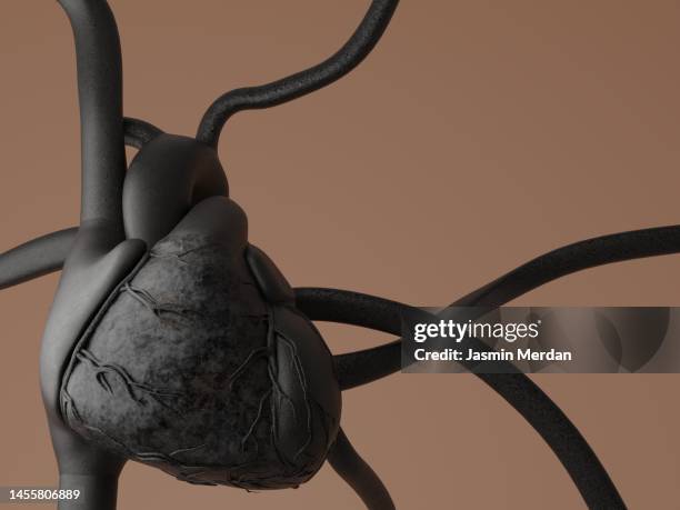 heart render - human internal organs 3d model stock pictures, royalty-free photos & images