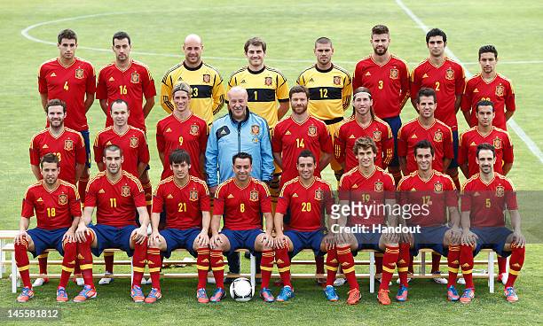 In this handout image supplied by the Royal Spanish Football Federation , Spanish head coach Vicente del Bosque poses with his team for a group photo...