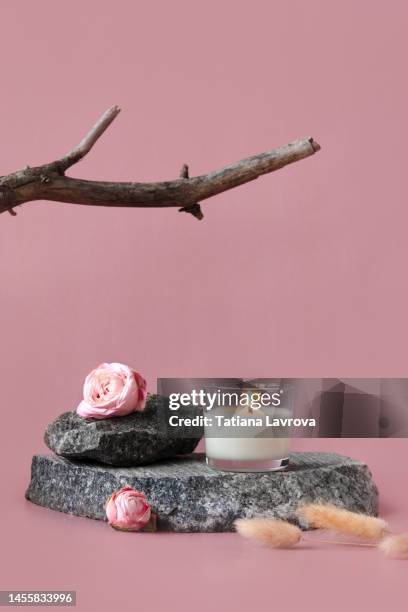 burning vanilla candle standing on a stone. natural minimalistic still life composition with roses, branches and dry rabbit tail grass on pastel red pink background - rosa rock stock pictures, royalty-free photos & images