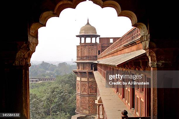 loving indian architecture - agra fort stock pictures, royalty-free photos & images