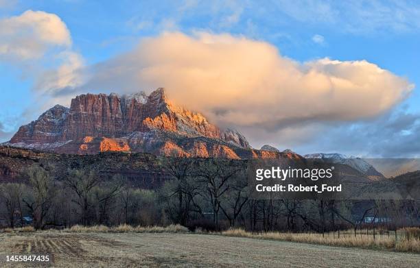 mount kinesava in zion national park seen from along  the virgin river at dusk in rockville utah - virgin river stock pictures, royalty-free photos & images