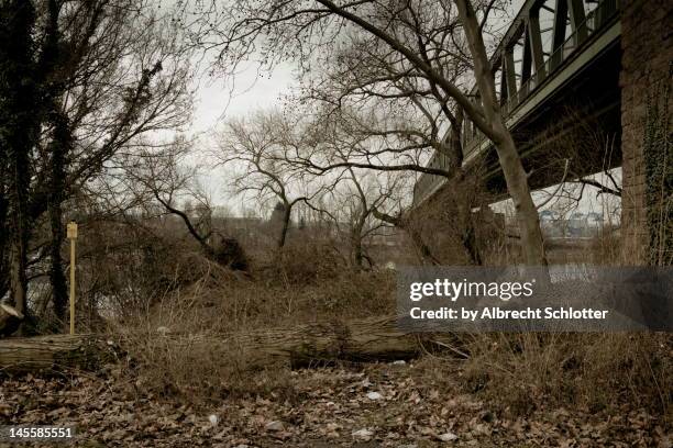 riverside with railway bridge - albrecht schlotter foto e immagini stock