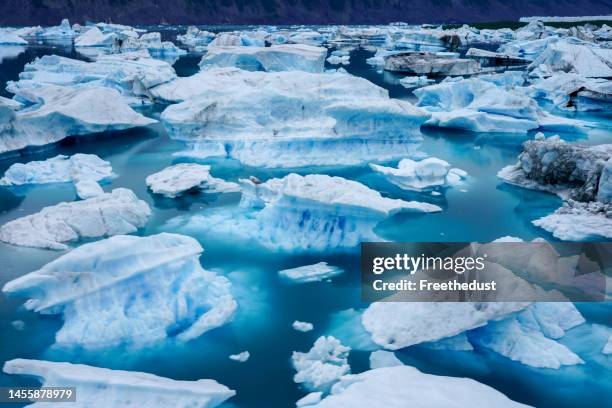 alaska 2021 - ghiacciai foto e immagini stock