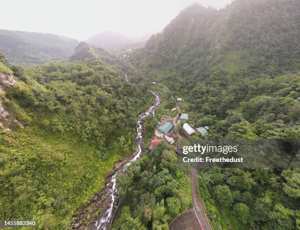 caribbean 2021 - dominica stock pictures, royalty-free photos & images