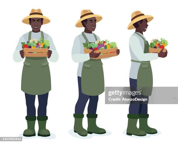 stockillustraties, clipart, cartoons en iconen met african american farmer holding a crate of bio vegetables . different poses design. - krat