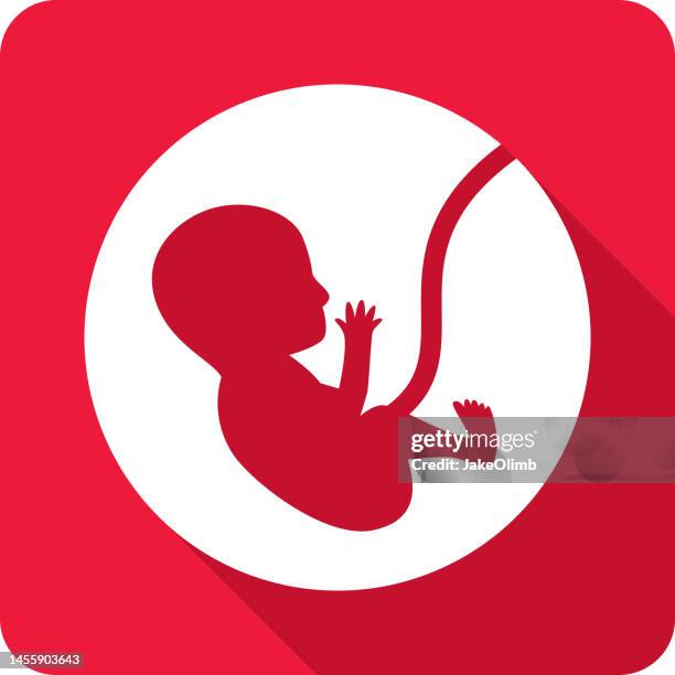 fötus icon silhouette - animal uterus stock-grafiken, -clipart, -cartoons und -symbole