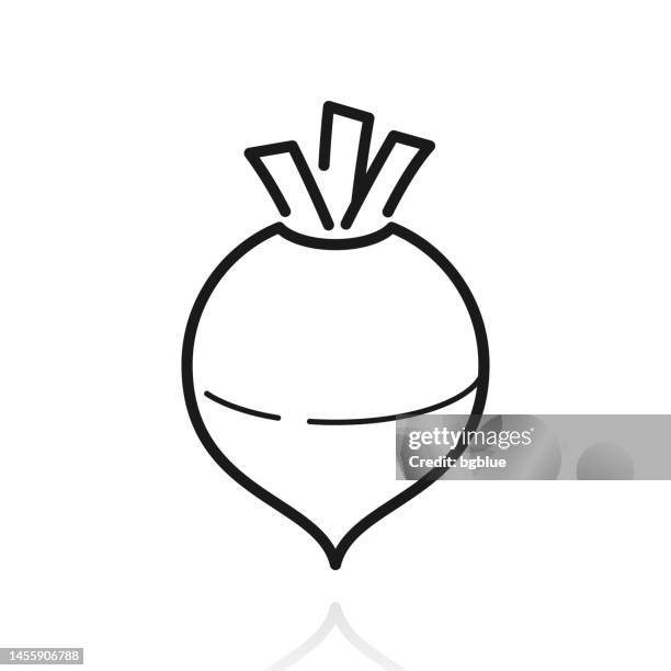 kohlrübe. symbol mit reflexion auf weißem hintergrund - rutabaga stock-grafiken, -clipart, -cartoons und -symbole