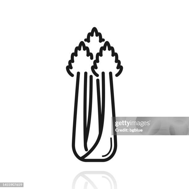 celery. icon with reflection on white background - celery stock illustrations