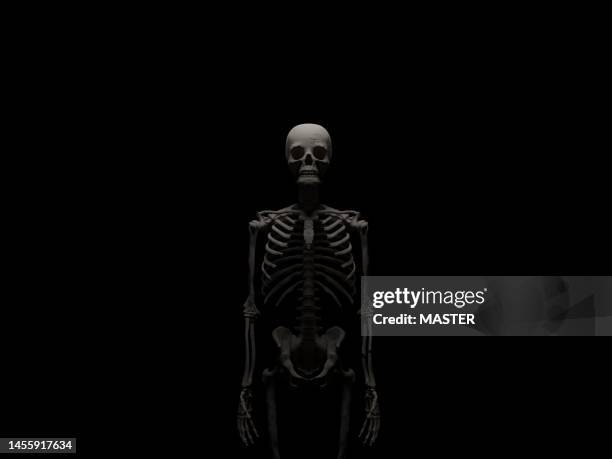 standing human skeleton in dark - halloween skeleton stock pictures, royalty-free photos & images