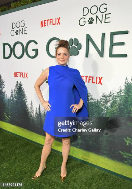 Kimberly Williams-Paisley attends Netflix's Dog Gone special screening at Bay Theatre on January 11, 2023 in Pacific Palisades, California.