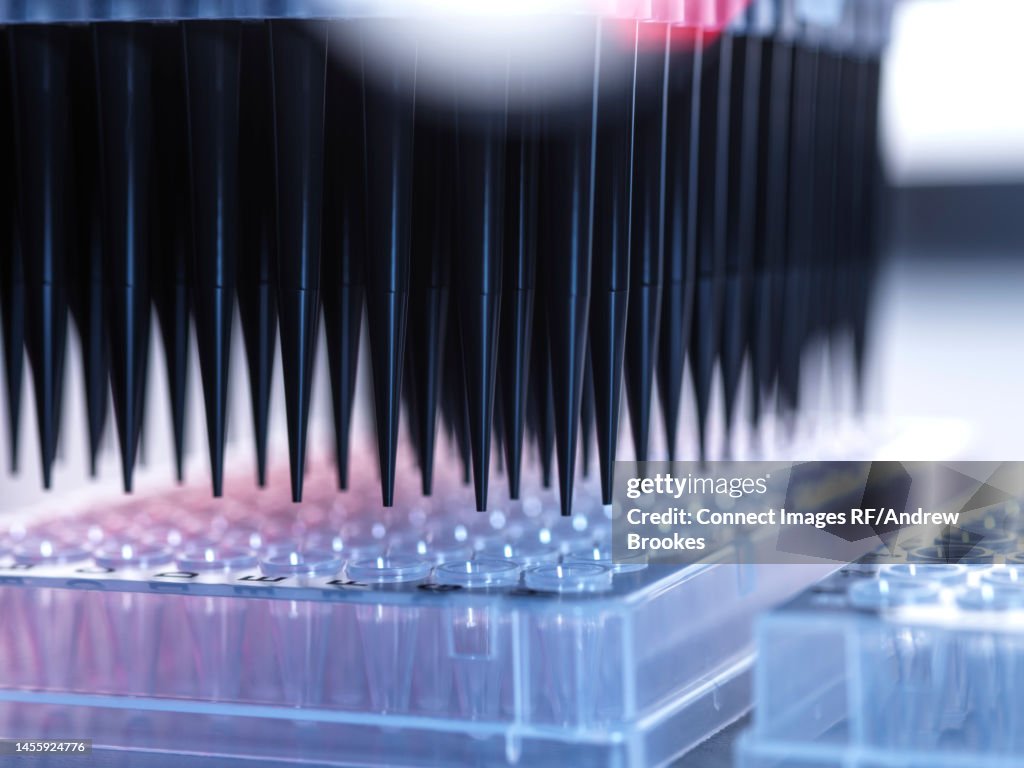 Samples Being Pipetted Into Micro Plates During Automated Analysis In ...