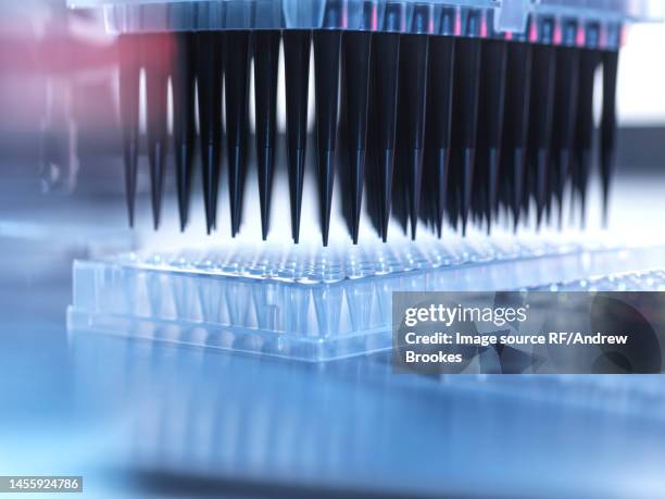 samples being pipetted into micro plates during automated analysis in lab - lab closeups stock-fotos und bilder