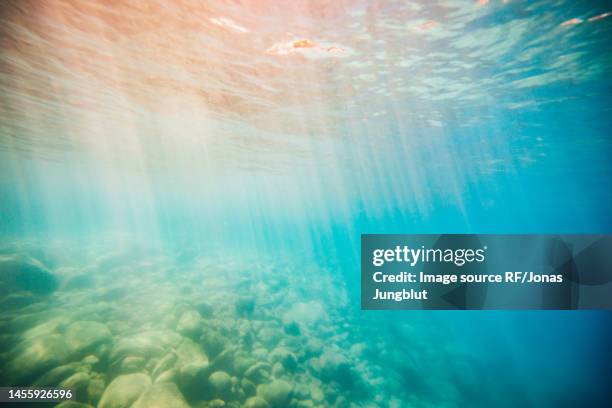 usa, california, sunlight shining through lake tahoe water surface - lake bottom foto e immagini stock