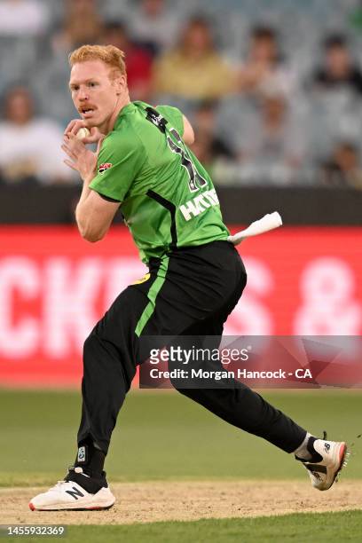 Liam Hatcher of the Stars fields the ball during the Men's Big Bash League match between the Melbourne Stars and the Adelaide Strikers at Melbourne...