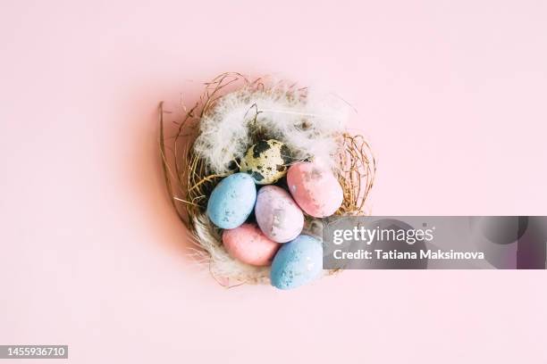 easter eggs in nest on pink background. festive banner. - spring flat lay stock pictures, royalty-free photos & images