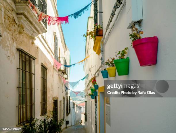 colorful flowerpots and ornaments in charming village street - pueblo de indígenas de américa del norte fotografías e imágenes de stock