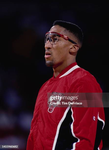 Portrait of Scottie Pippen, Small Forward for the Chicago Bulls during the NBA Midwest Division basketball game against the Denver Nuggets on 8th...