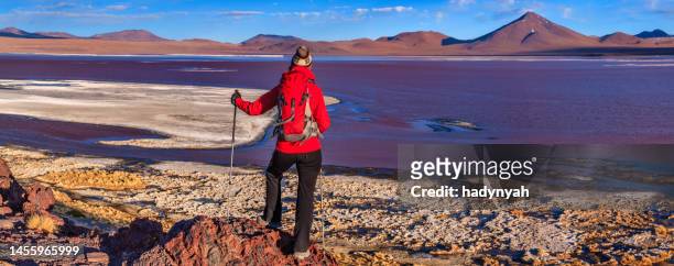 female tourist looking at laguna colorada, bolivian altiplano - bolivia stock pictures, royalty-free photos & images