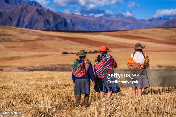 peruanische frauen in nationaler kleidung überqueren feld, das heilige tal - quechua stock-fotos und bilder