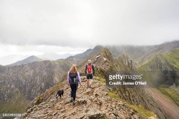 couple and their dog hiking together in mountainous terrain - parque nacional de snowdonia imagens e fotografias de stock