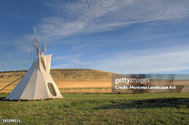 buffalo jump - teepee stock pictures, royalty-free photos & images