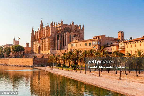 the cathedral of santa maria of palma in palma de mallorca, mallorca, spain - palma maiorca stockfoto's en -beelden