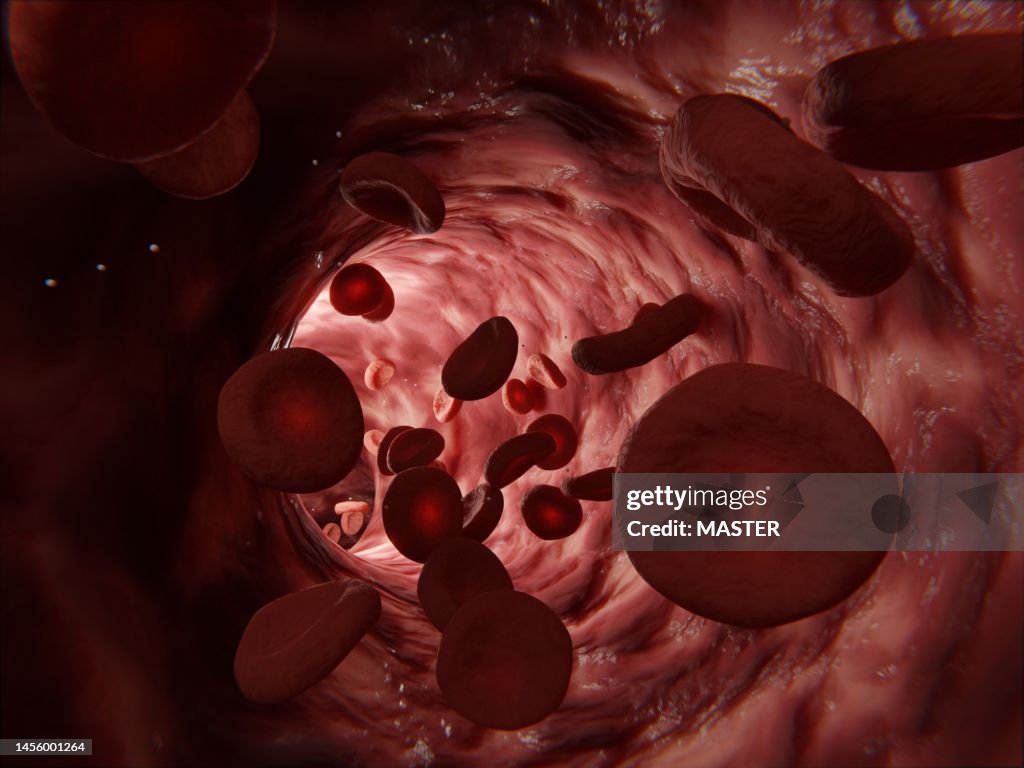 Circulatory system - red blood cells flowing in an artery