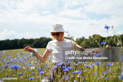 Junge Frau in einem Meer aus blauen Kornblumen Junge Frau in einem Meer aus blauen Kornblumen