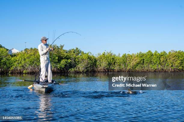 kayak angler catching snook in florida - fishing reel stock pictures, royalty-free photos & images