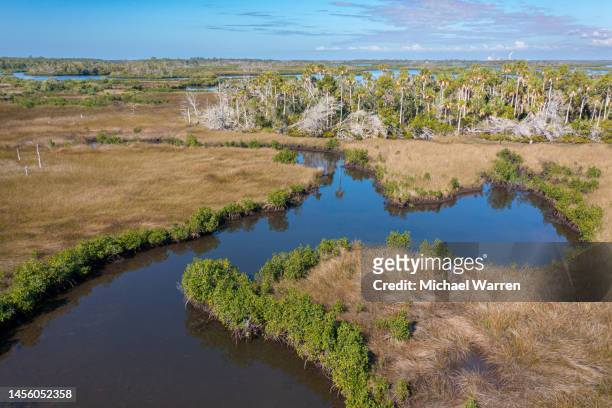 salt marsh and mangrove islands aerial - tidal marsh stock pictures, royalty-free photos & images