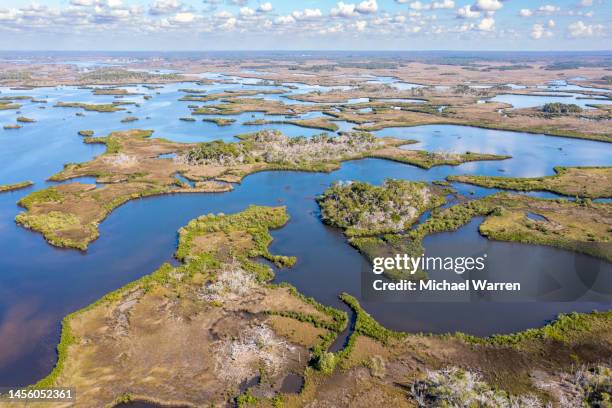 aerial view of florida wetlands - gulf of mexico aerial stock pictures, royalty-free photos & images