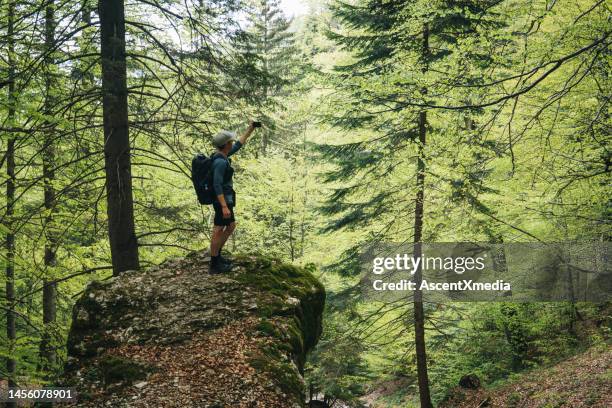 photographer stands on hill in forest - escape rom stock pictures, royalty-free photos & images