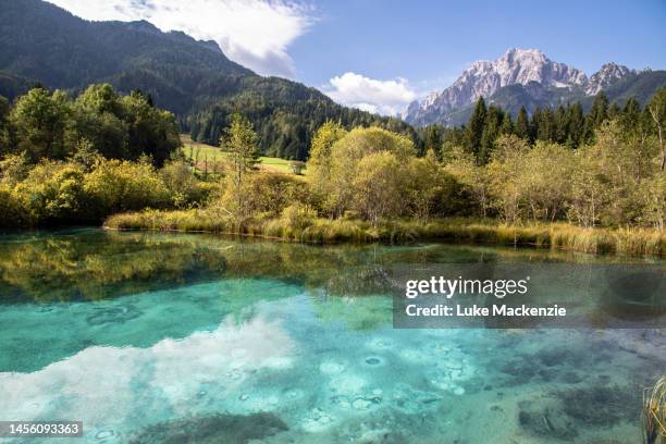 zelenci jezero - slovenië stockfoto's en -beelden