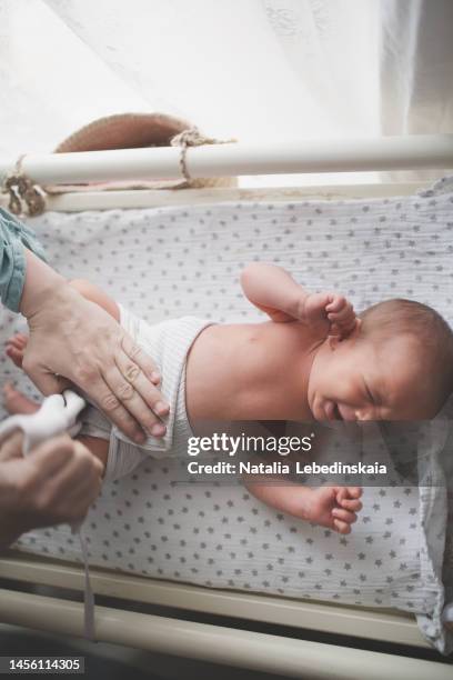 mom puts knitted diaper and wool pants on baby. top view. - babies only in cloth diapers stock-fotos und bilder