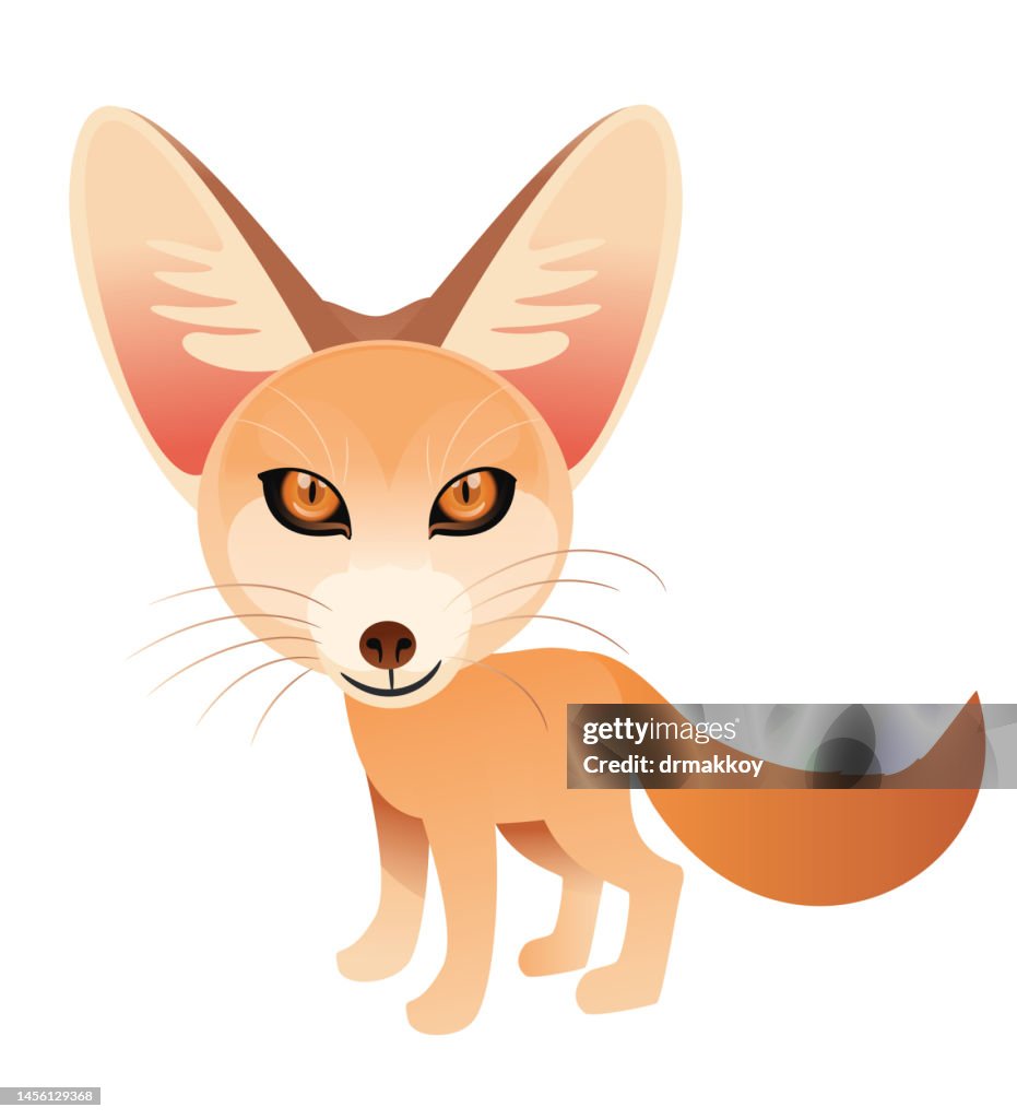 Fennec Fox
