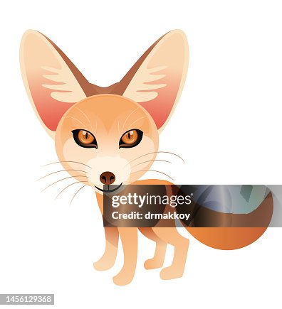 Fennec Fox Fennec Fox