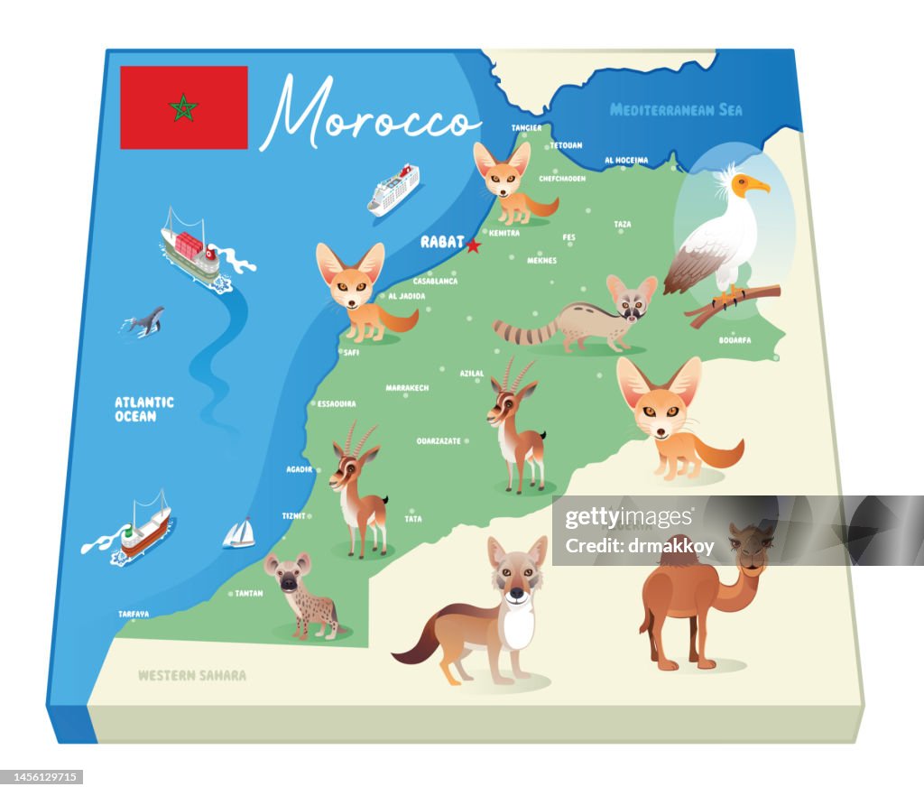 Morocco Animals Map