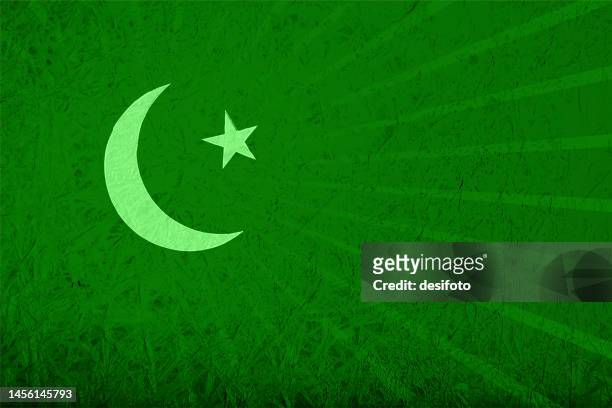 textured effect grungy green grunge vector background with a star and a moon making pakistan national flag backdrop with subtle sunburst as watermark - grunge moon stock illustrations