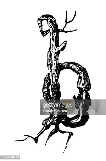 antique vintage tree branch lower case letter b - tree carving stock illustrations