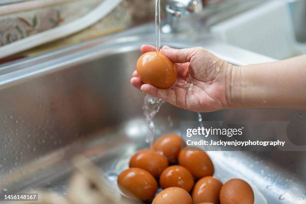 washing fresh eggs - lavar imagens e fotografias de stock