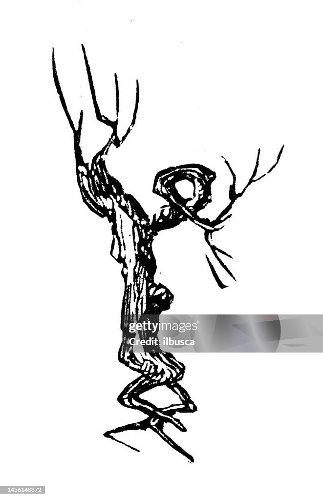 Tree Root Letter R Antique Vintage Tree Branch Lower Case Letter R High-Res Vector Graphic ...