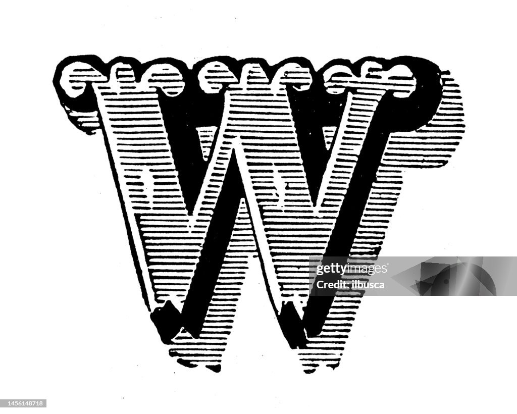 Antique Vintage Letter W High-Res Vector Graphic - Getty Images