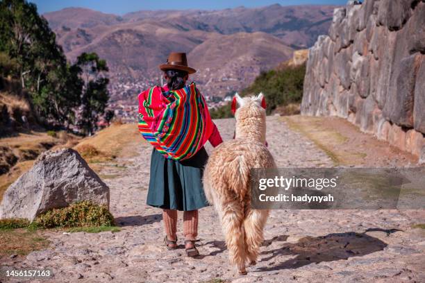 peruvian woman wearing national clothing walking with llama near cuzco - pisac imagens e fotografias de stock