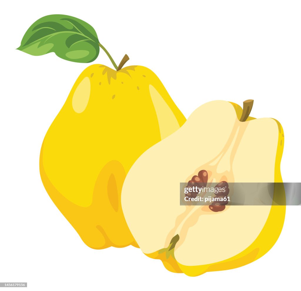Yellow quince fruit