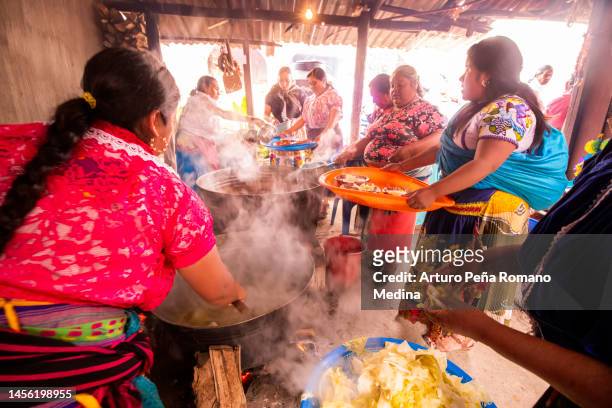 las mujeres indígenas purépechas cocinan "churipo". - indigenas mexicanos fotografías e imágenes de stock