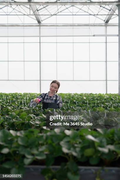 Lab Picker Lab Picker Photos and Premium High Res Pictures - Getty Images